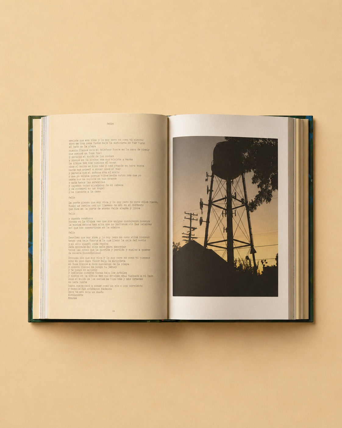 Violet hace el puente sobre la hierba – Plastic Books
