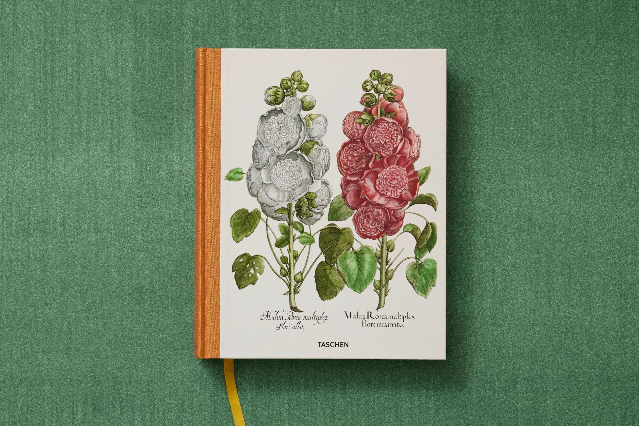 Basilius Besler. The Garden at Eichstätt – Plastic Books