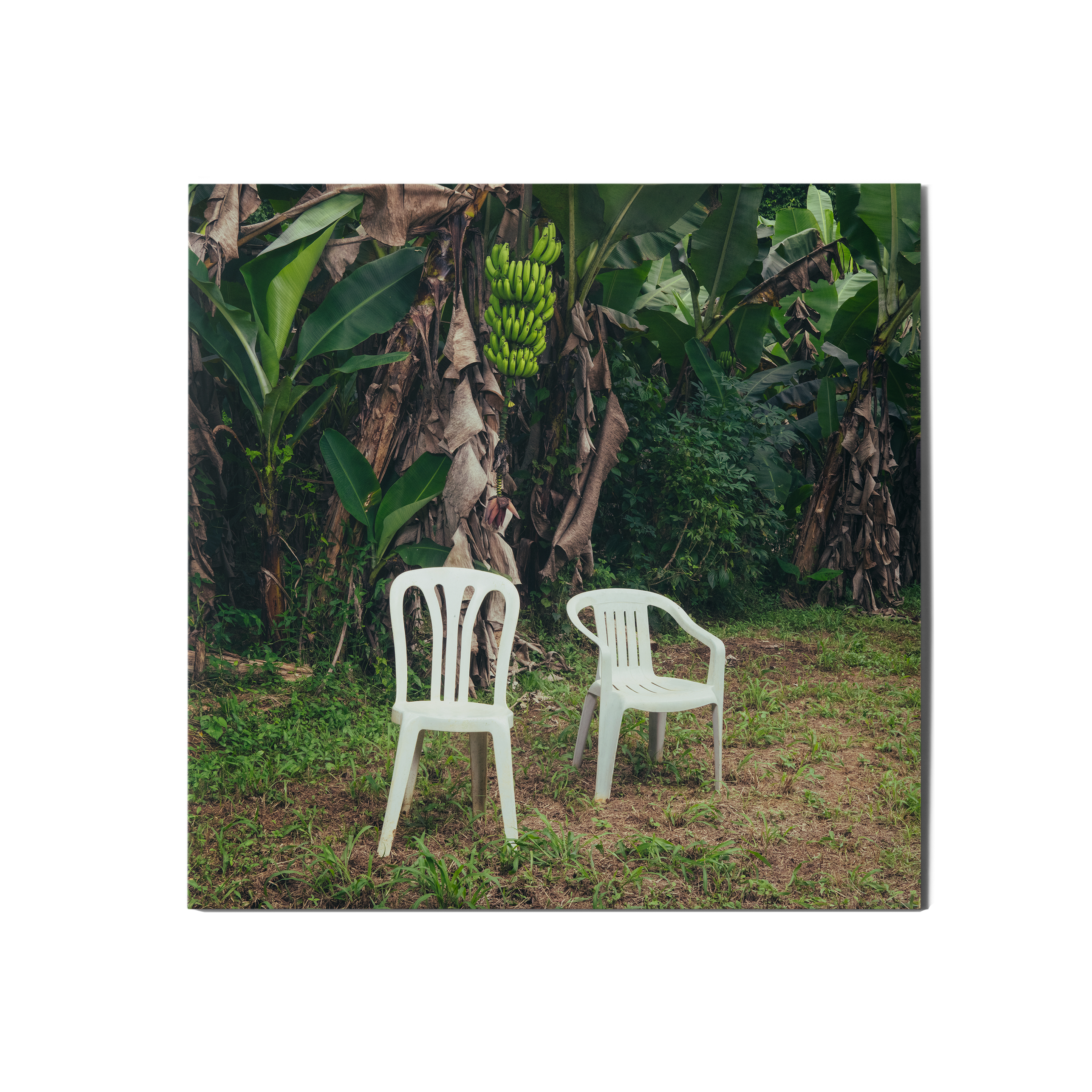 DeBÍ TiRAR MáS FOToS (LP Azul) – Plastic Books