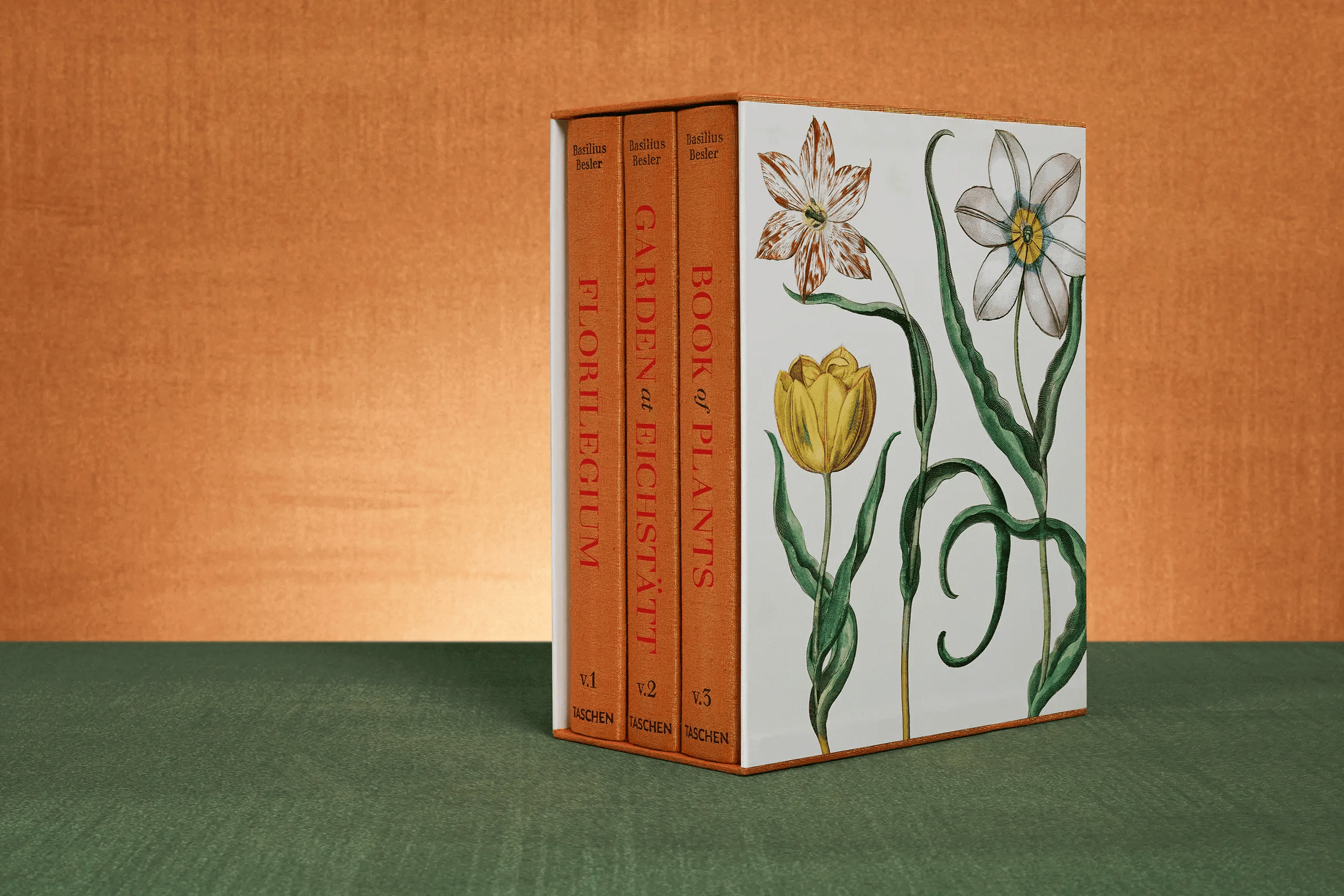 Basilius Besler. The Garden at Eichstätt – Plastic Books